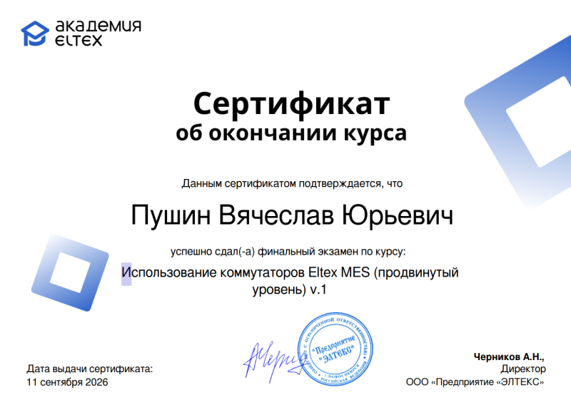 Пушин Вячеслав Юрьевич сертифицированный специалист Eltex MES Advanced