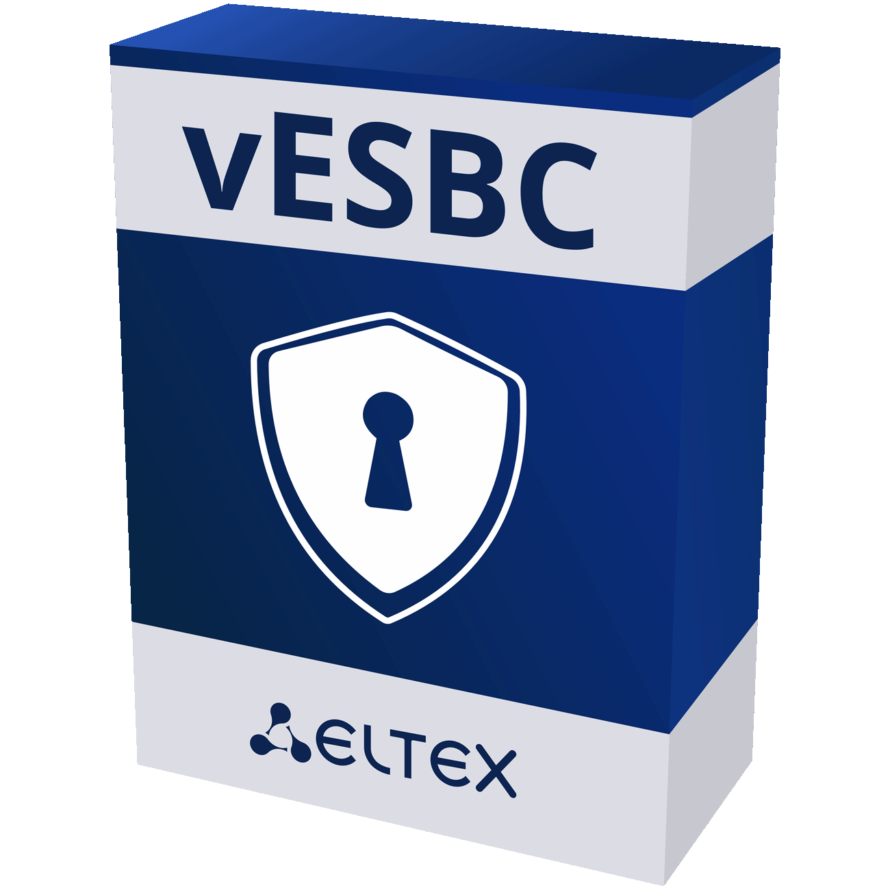 Программный пограничный контроллер сессий vESBC